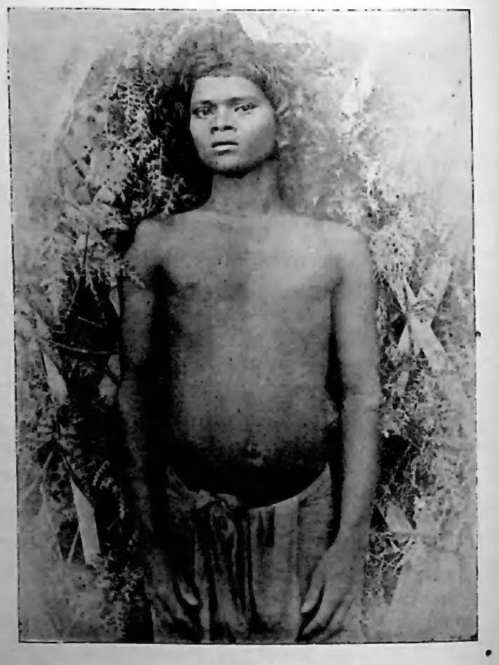Paniyan