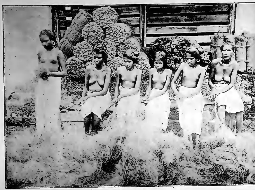 Tiya females at a coir factory