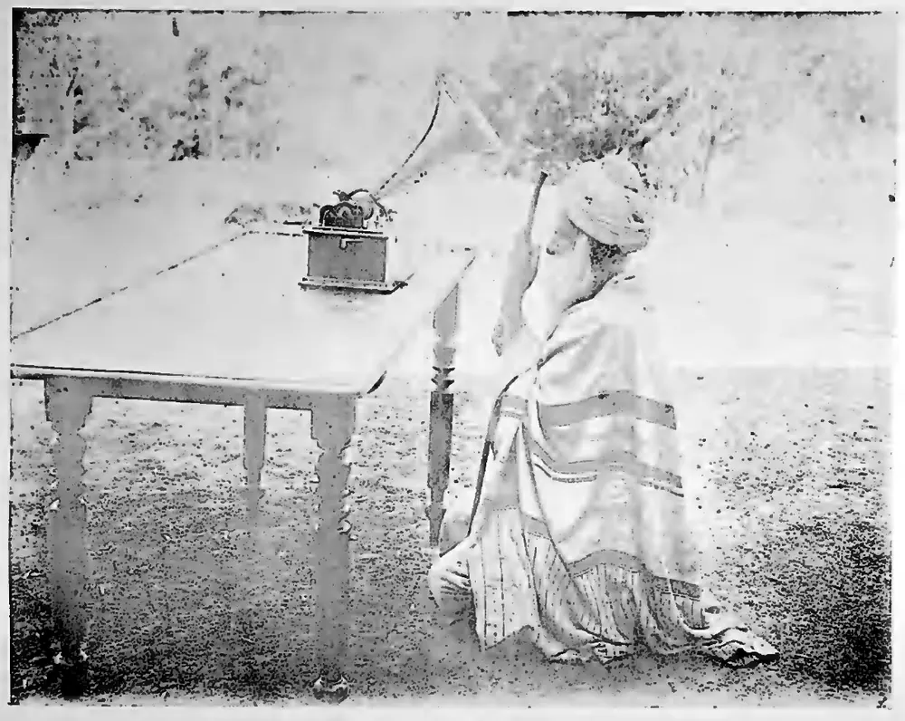 Toda and phonograph