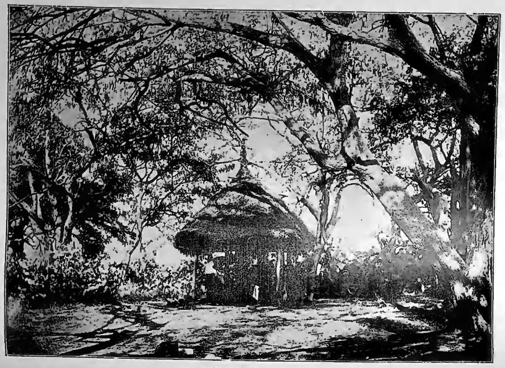 Tottiyan mālē