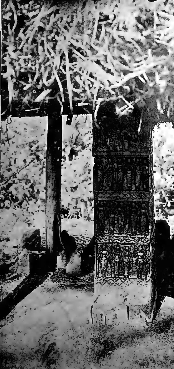 Tottiyan mālē