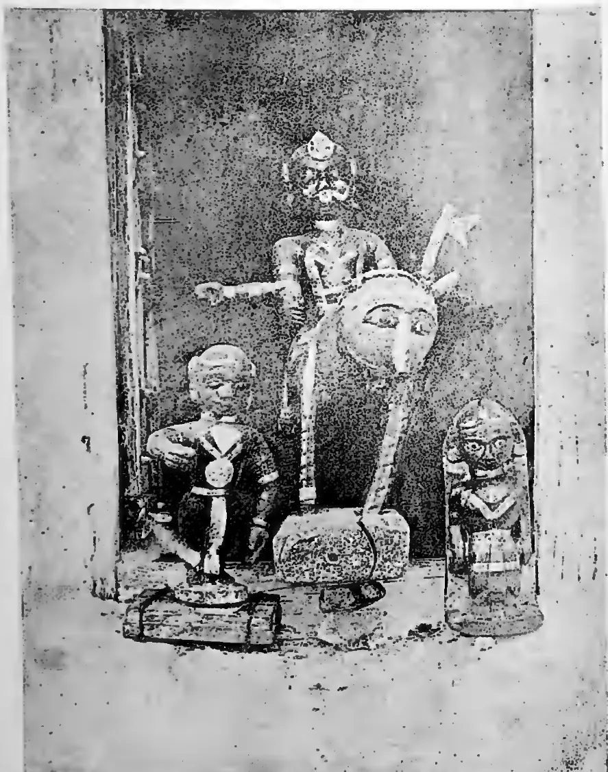 Vāda gods