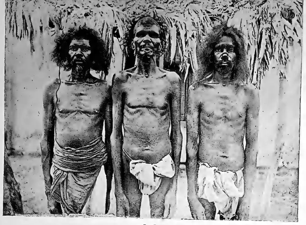 Yānādis