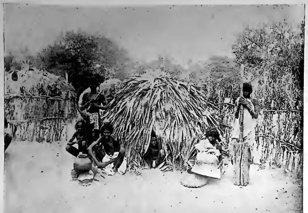 Yānādi hut