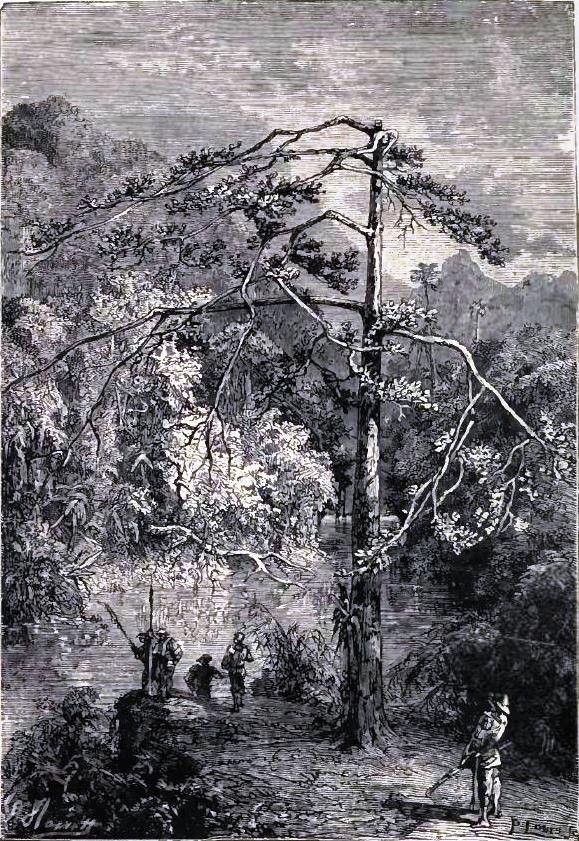 Illustration from the original edition