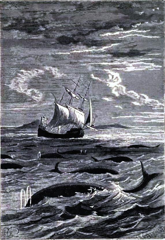 Illustration from the original edition