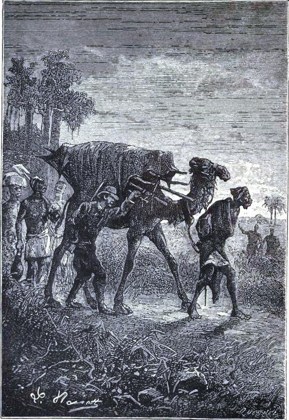 Illustration from the original edition