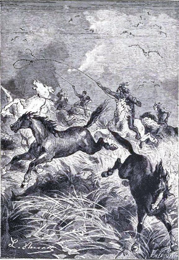 Illustration from the original edition