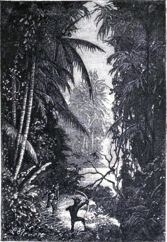 Illustration from the original edition