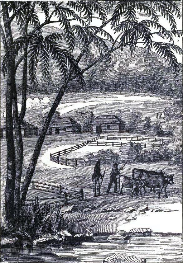 Illustration from the original edition