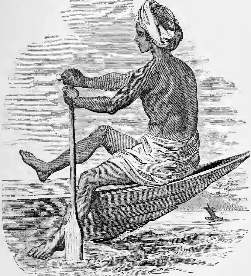 Travancore Boatman