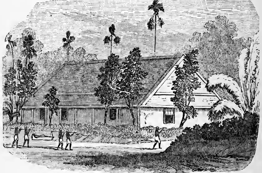 Neyoor Dispensary