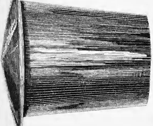 Wooden Ear-cylinder