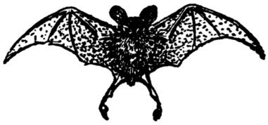Illustration from the original edition