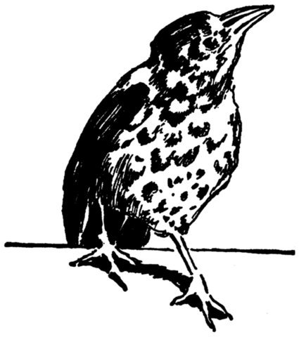 Illustration from the original edition