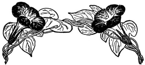 Illustration from the original edition