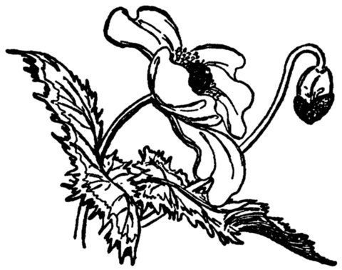 Illustration from the original edition