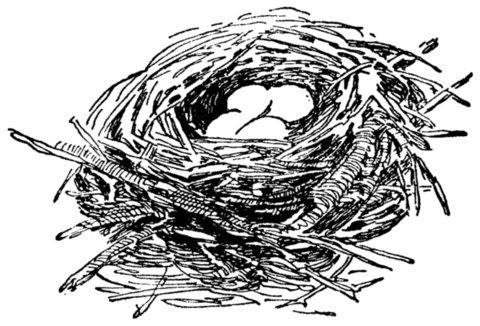Illustration from the original edition