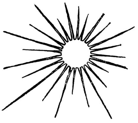 Illustration from the original edition