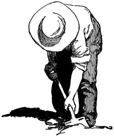 Illustration from the original edition