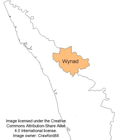 111-Wynad.jpg