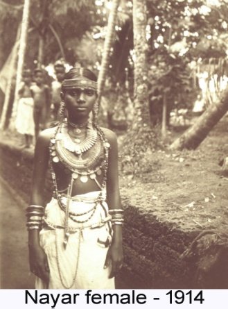 NayarFemale2.jpg
