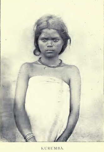Kurumba-female.jpg