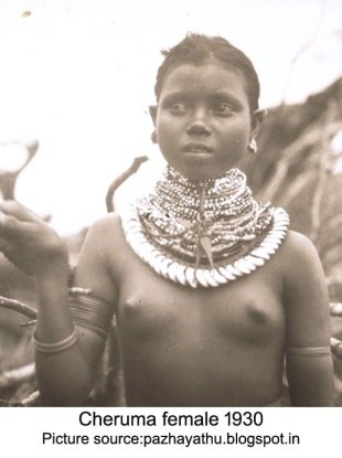 49-Cheruma-female.jpg
