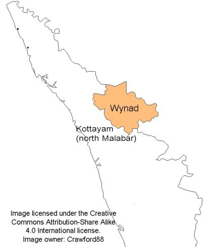 Image10
