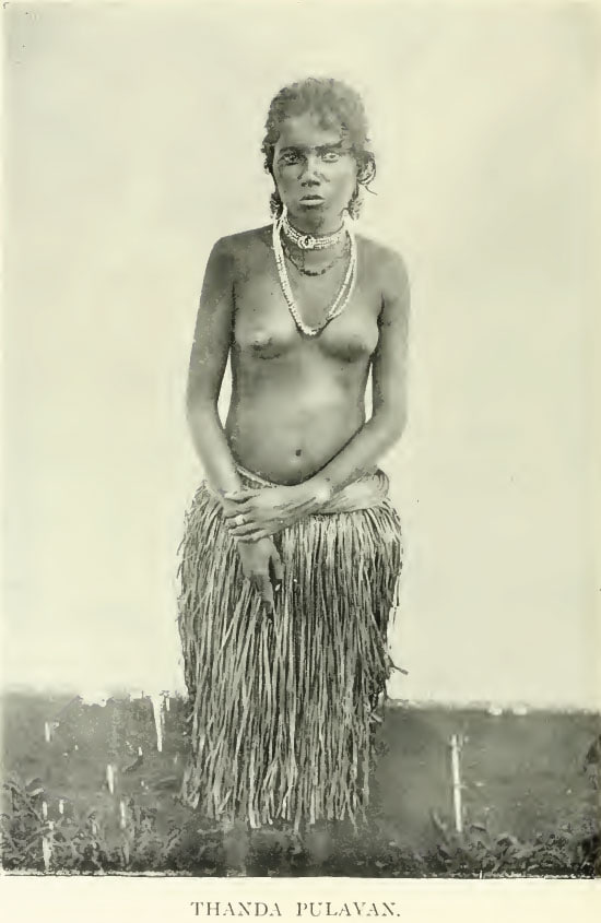 Image4 Copy 1