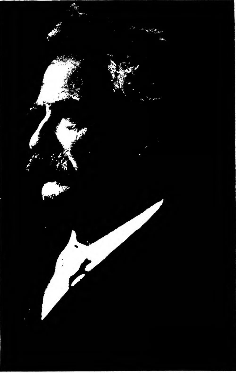 “Mark Twain”