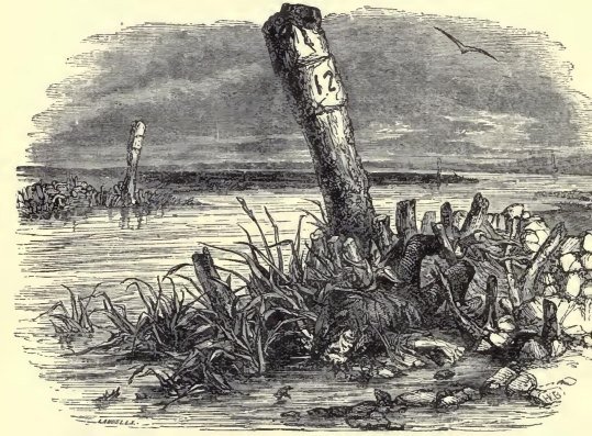 Illustration from the original edition