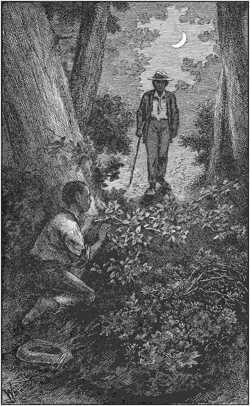 Illustration from the original edition