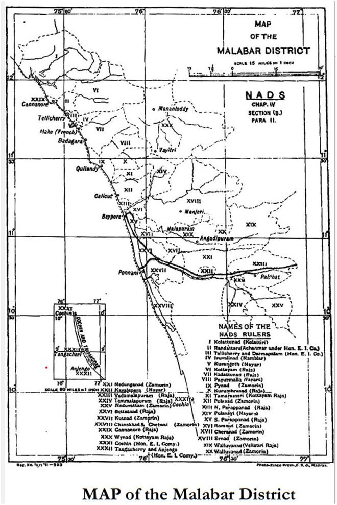 Image1