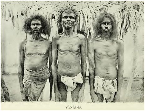 Image8