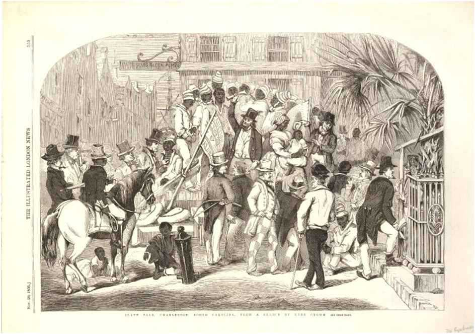 Image11