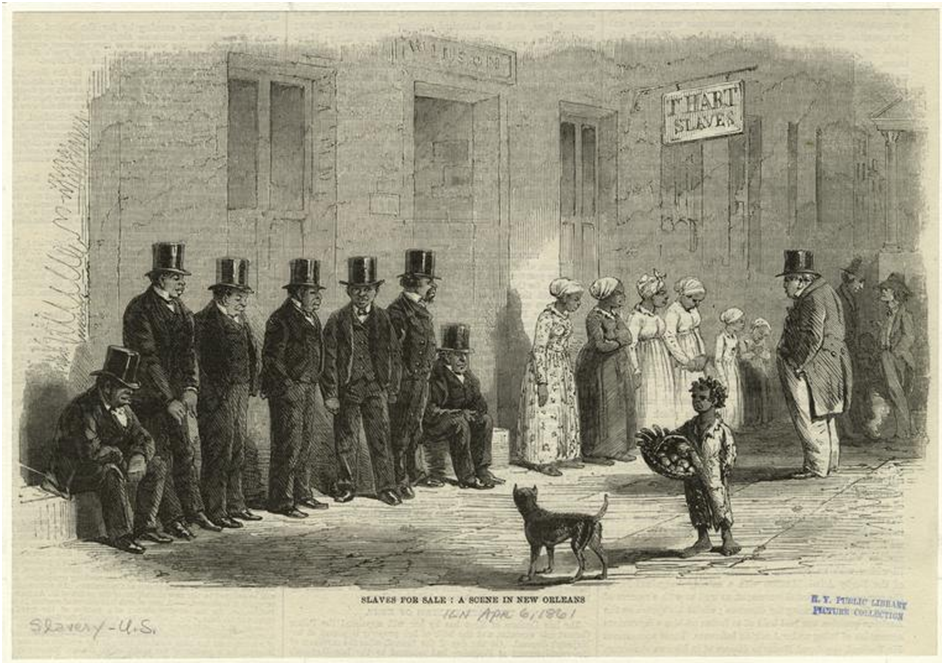 Image21