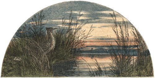 Illustration from the original edition