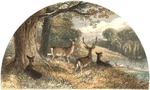 Illustration from the original edition