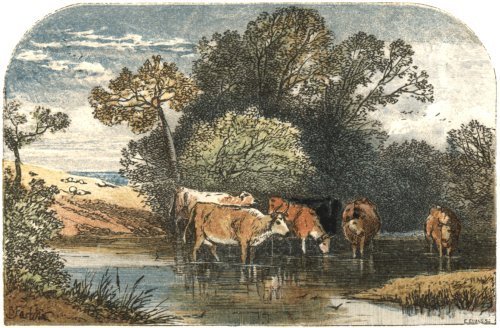 Illustration from the original edition