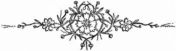 Illustration from the original edition
