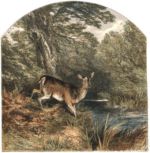 Illustration from the original edition