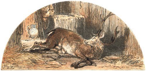 Illustration from the original edition