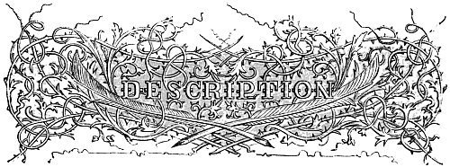 Illustration from the original edition