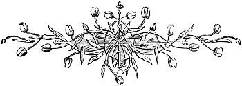 Illustration from the original edition