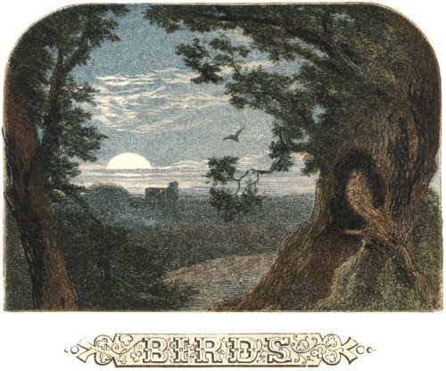 Illustration from the original edition