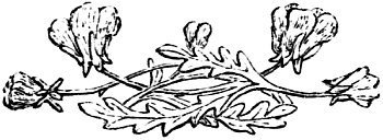 Illustration from the original edition