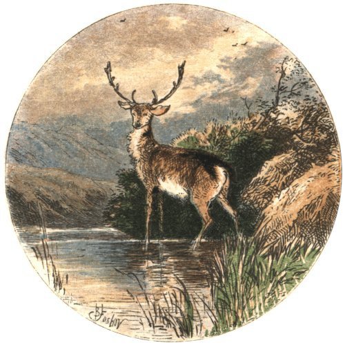 Illustration from the original edition