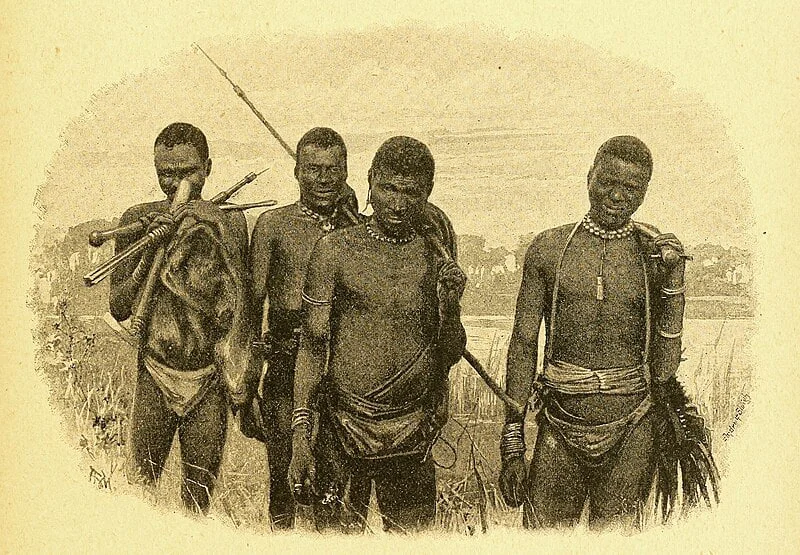 Image3