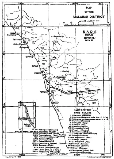 Image1